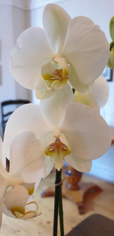 Leopold Boutique Hotel Ostersund Luaran gambar